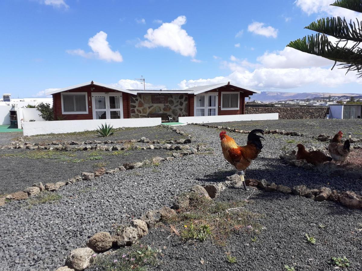 Cabanas Volcan Capellania Tinguaton المظهر الخارجي الصورة